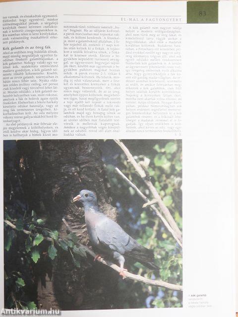 Pannon Enciklopédia - Magyarország állatvilága