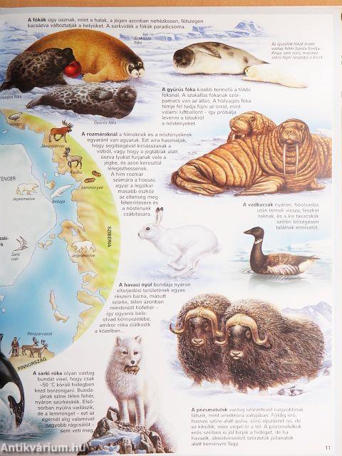 Atlasz az állatokról