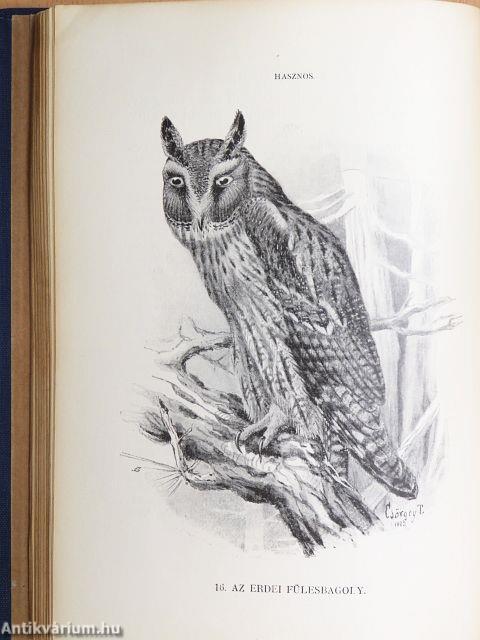 A madarak hasznáról és káráról