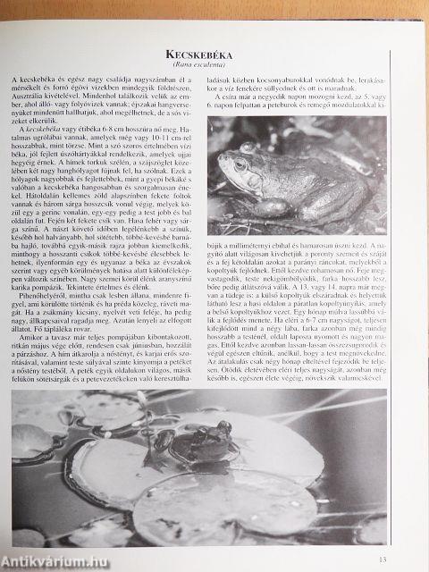 Az állatvilág atlasza