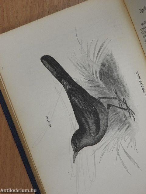 A madarak hasznáról és káráról