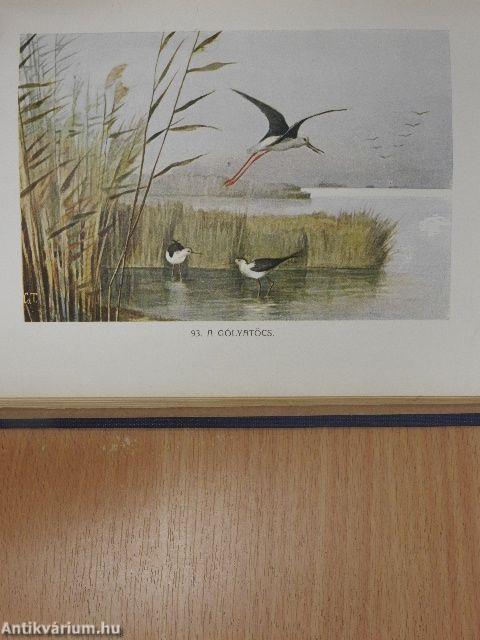 A madarak hasznáról és káráról