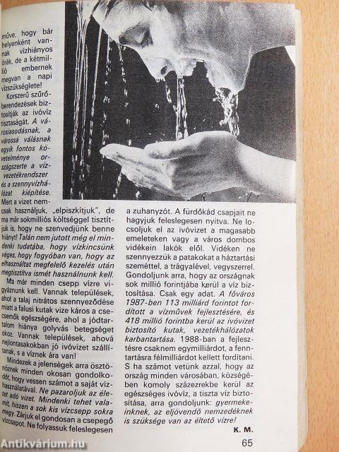 Éva Kalendárium '89