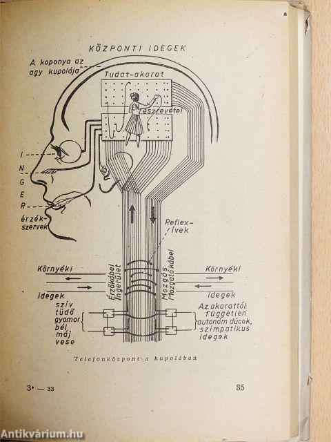 A jó egészség könyve