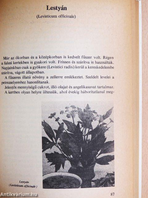 Különleges zöldségételek