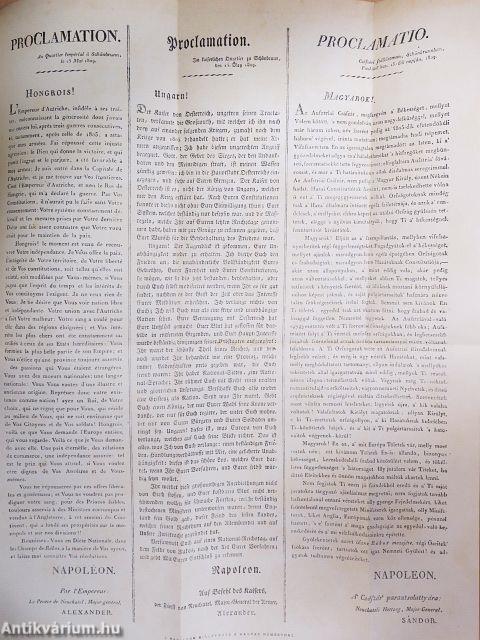 A magyar nemzet története VIII.