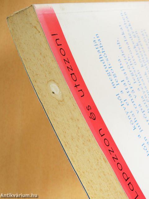 Vonattal Európában