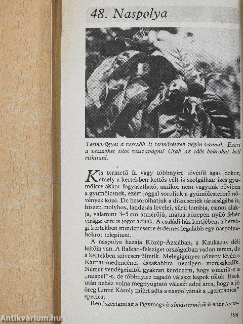 Minden héten szüret