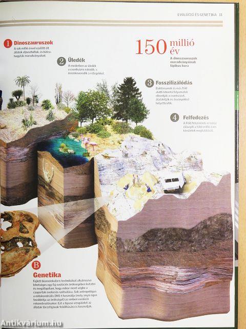 Természettudományi Enciklopédia 2.