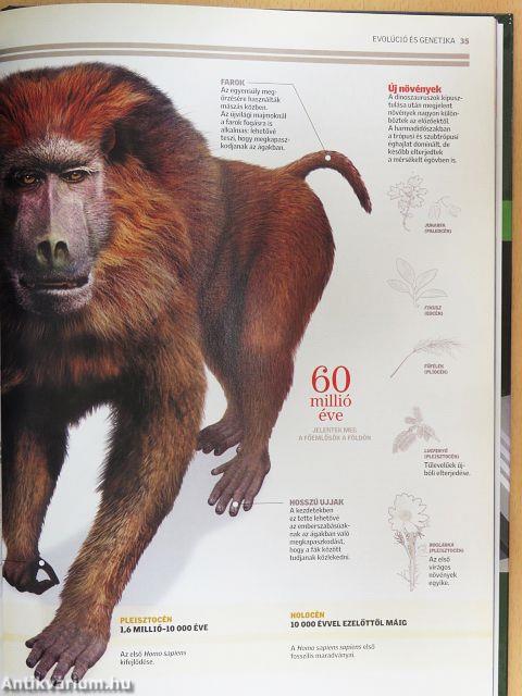 Természettudományi Enciklopédia 2.