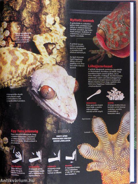 Természettudományi Enciklopédia 9.