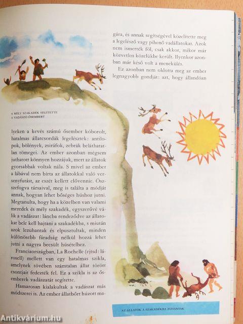 A világ és az ember