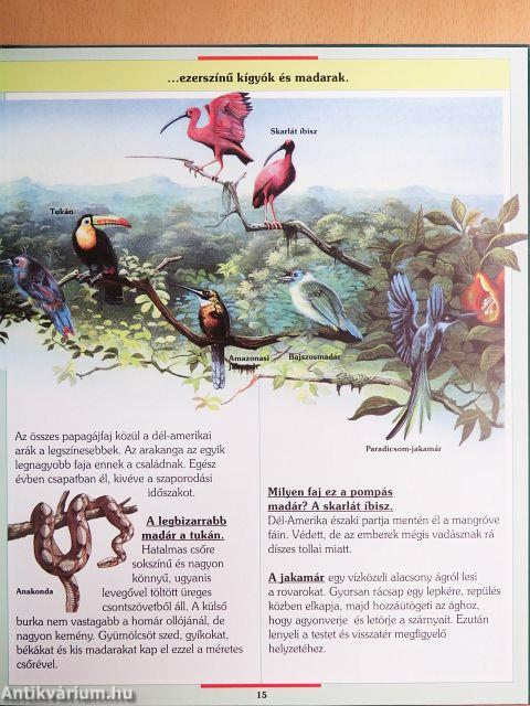 Vadon élő állatok