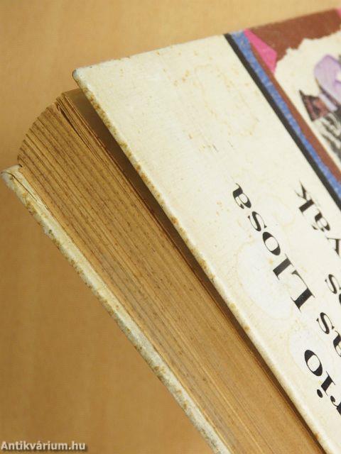 A város és a kutyák