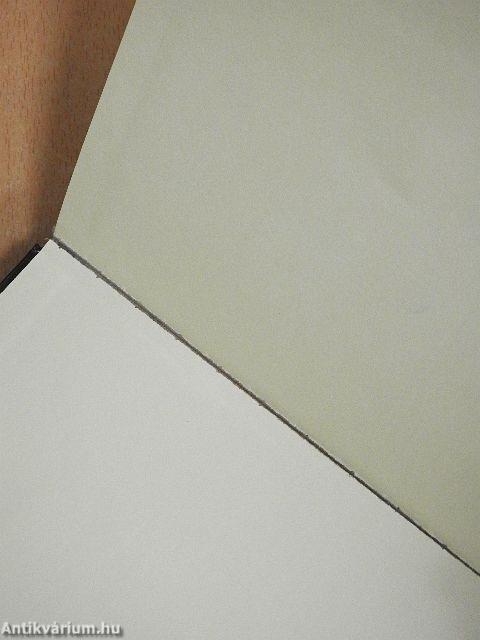 Kiáltás az éjszakában