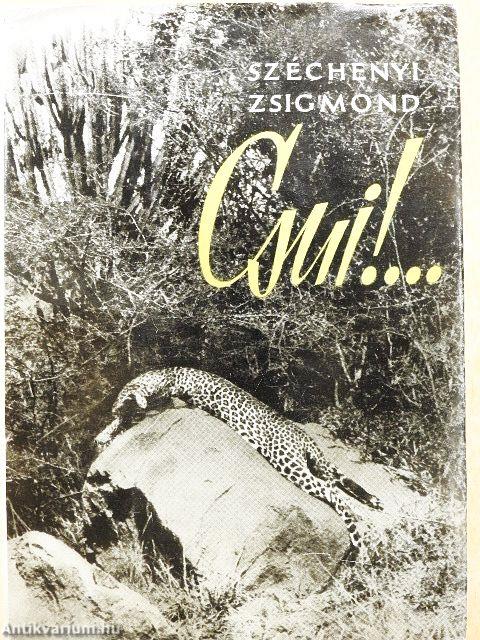 Csui!...