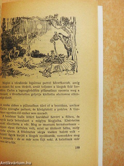 A fehér törzsfőnök