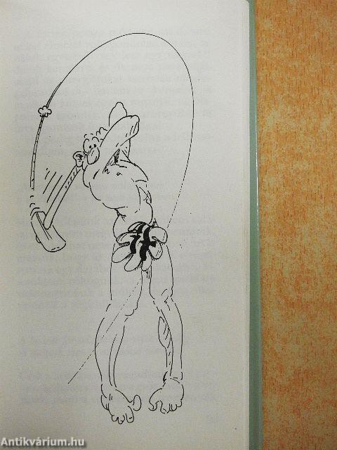 Az ideális hadifogoly