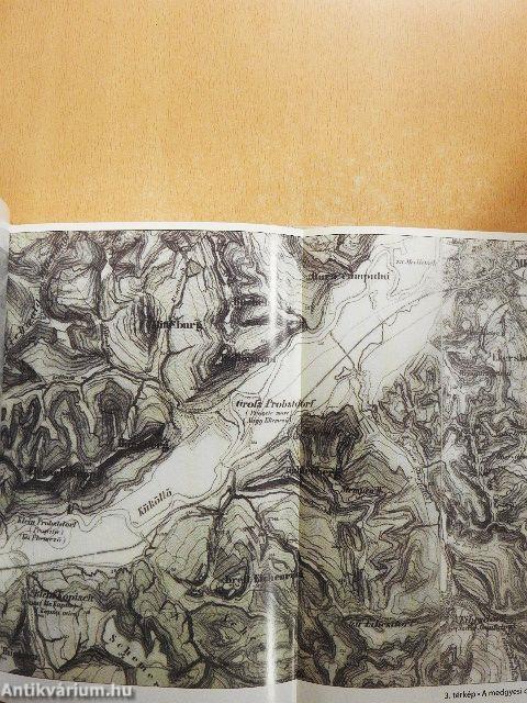 Csataterek Petőfije