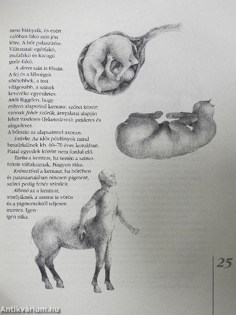 A kentaur természetrajza