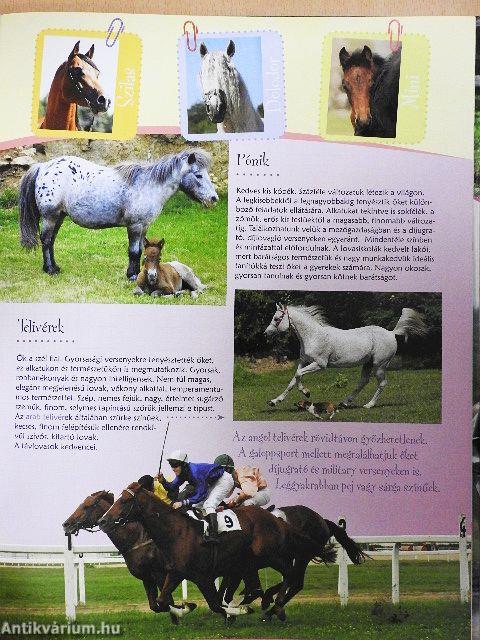 Első lovaskönyvem