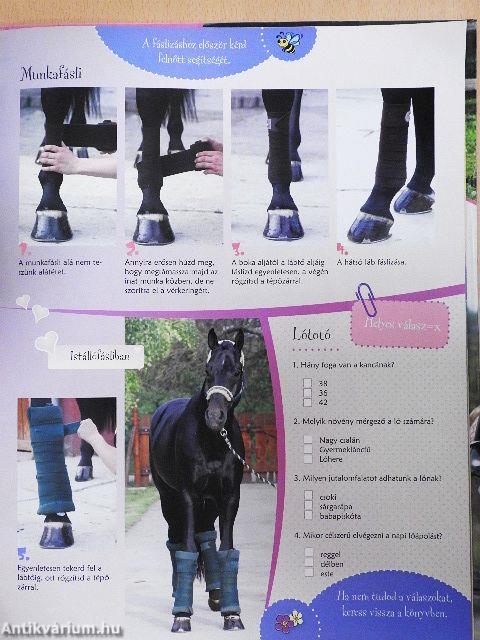 Első lovaskönyvem