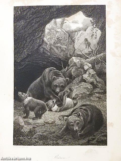 Die Thiere des Waldes I. (gótbetűs)