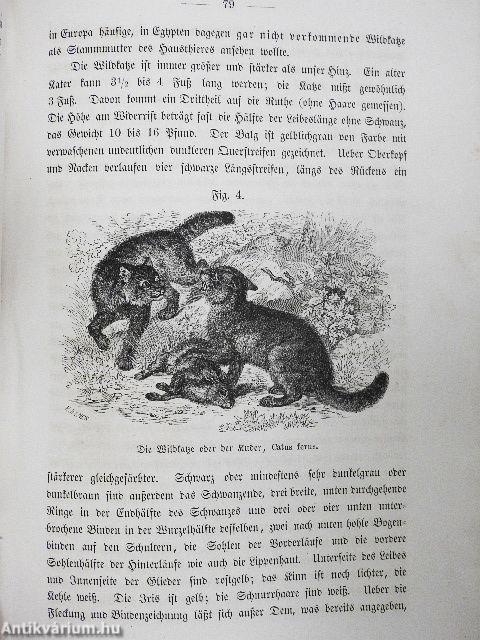 Die Thiere des Waldes I. (gótbetűs)