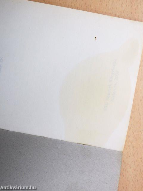 A 100 legjobb muffin