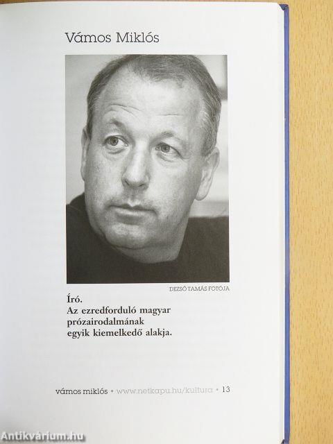 Netközelben