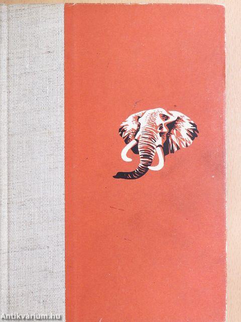 Afrikai tábortüzek