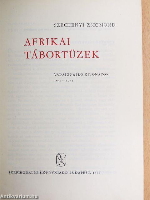 Afrikai tábortüzek