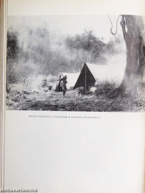 Afrikai tábortüzek