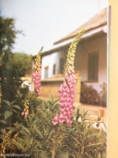 Házikerti kézikönyv