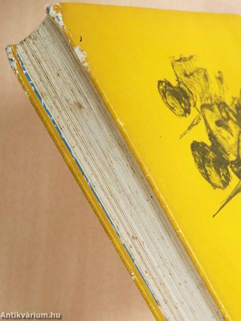 Kittenberger Kálmán élete 