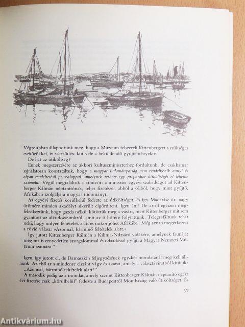 Kittenberger Kálmán élete 