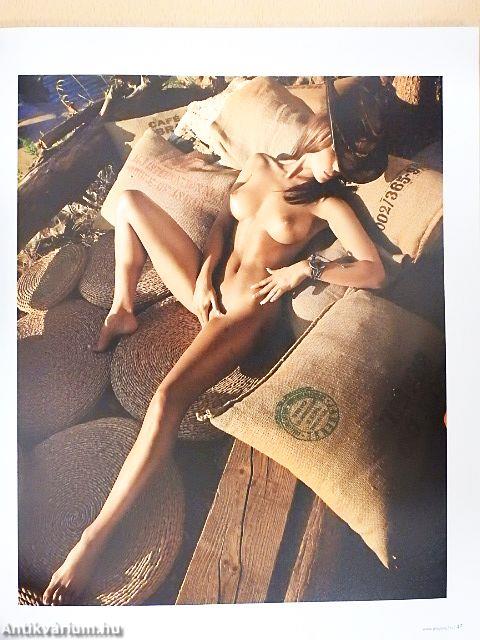 Playboy 2012. június