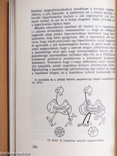 Struma és más pajzsmirigy-betegségek