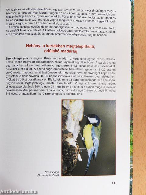 Védjük madarainkat!