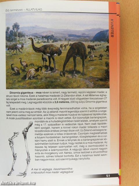 Élő természet - Állatvilág