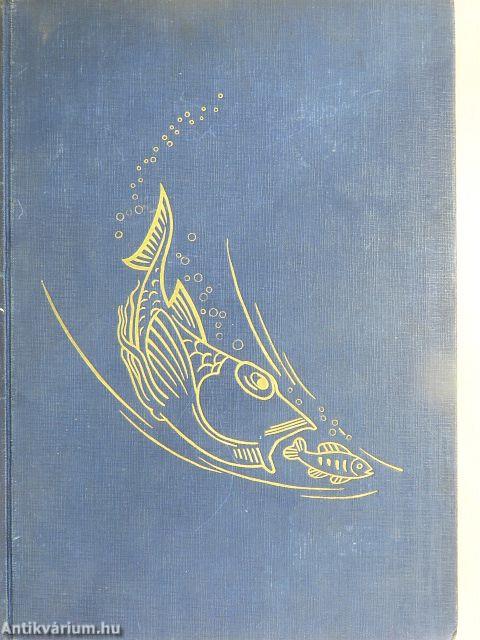 Az élet csodái I-III.