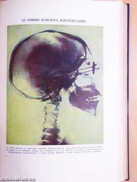 Az élet csodái I-III.