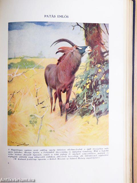 Az élet csodái I-III.