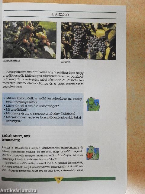 Körülöttünk élő világ