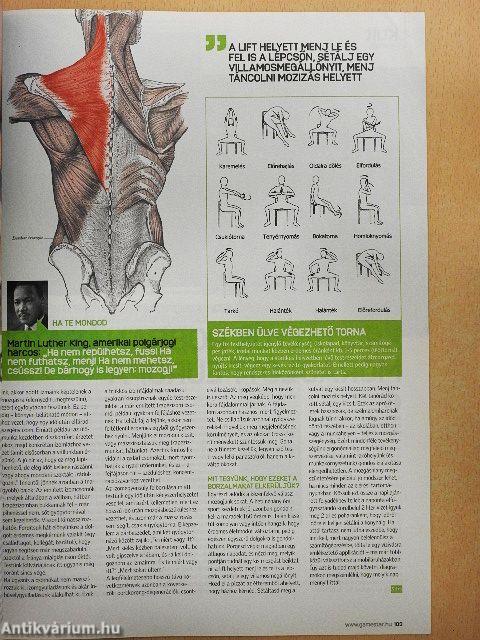 GameStar 2015. november