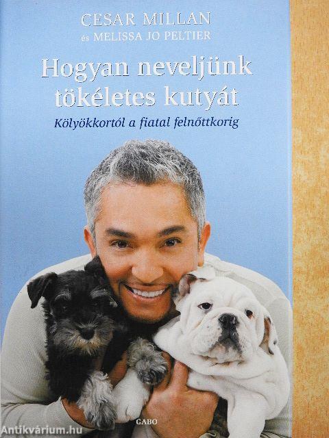 Hogyan neveljünk tökéletes kutyát
