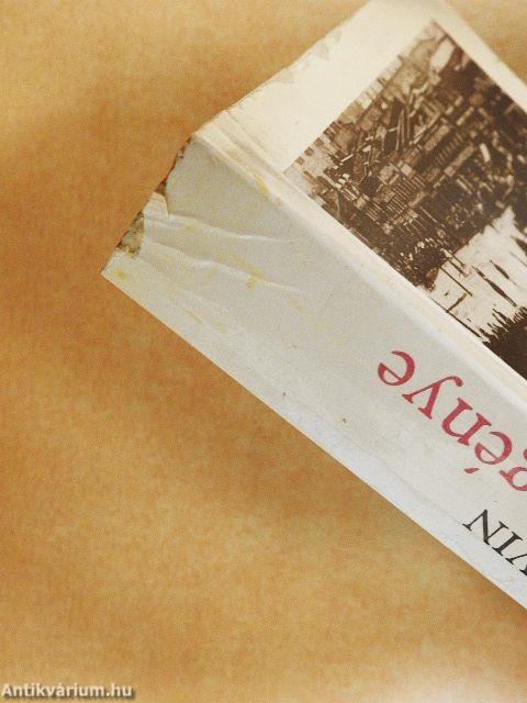 Egy regény regénye