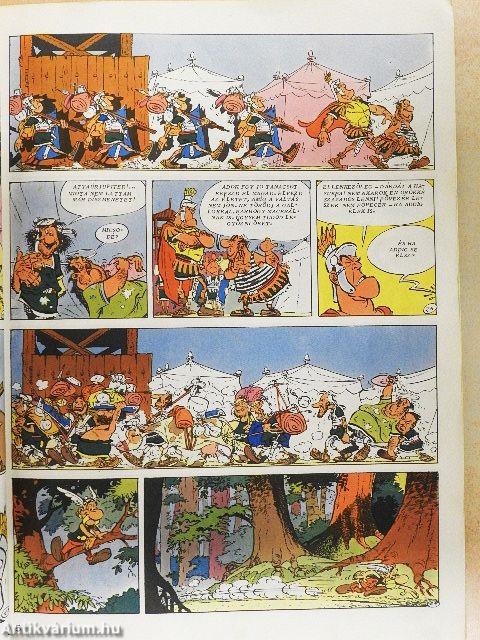 Asterix - Mindent a művészetért