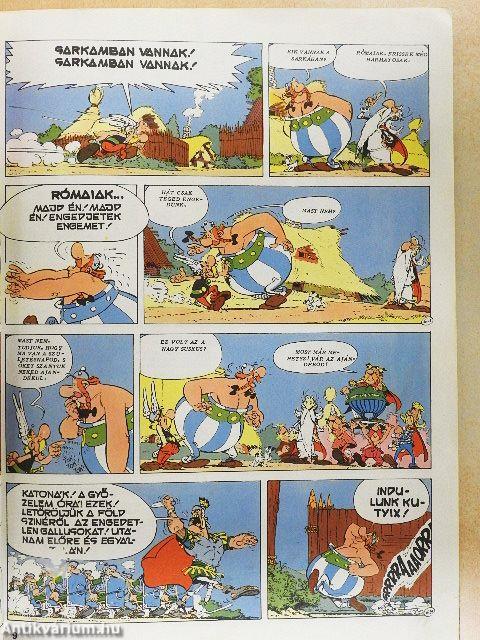 Asterix - Mindent a művészetért