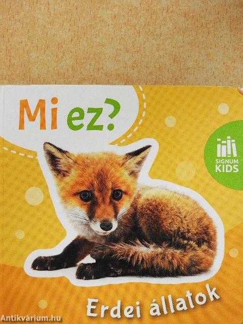 Mi ez? - Erdei állatok